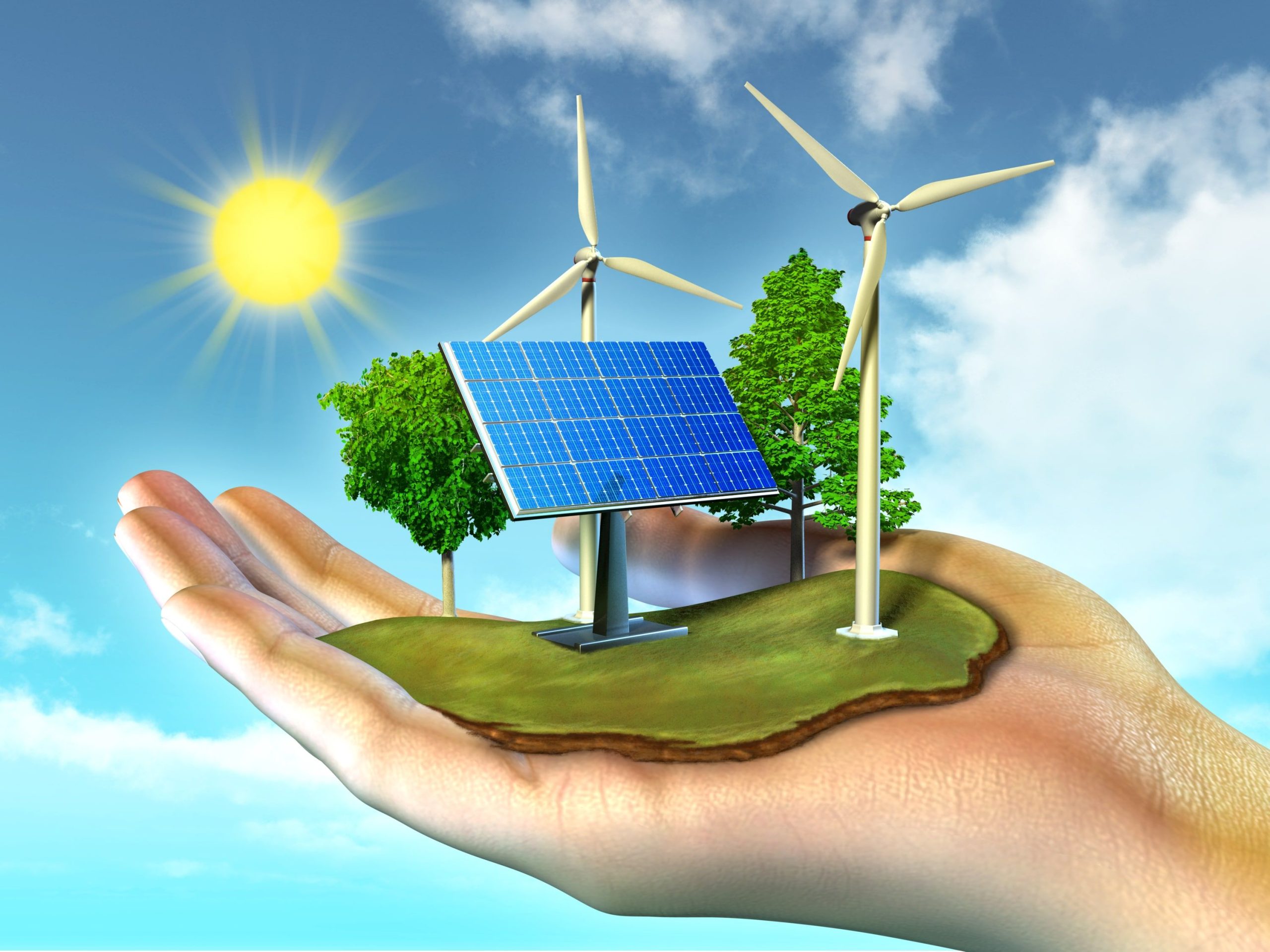 Ce semeni, culegi – proiectele de energie eoliană și alte energii regenerabile redevin de actualitate în România
